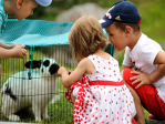 Mini Zoo<p>Zwierzątka mieszkające w Mini Zoo codziennie witają uśmiechnięte i radosne dzieci i zapraszają do częstego odwiedzania.<p>